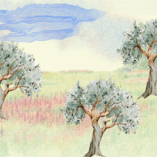 Mount of Olives - Salt of the Earth Ministries